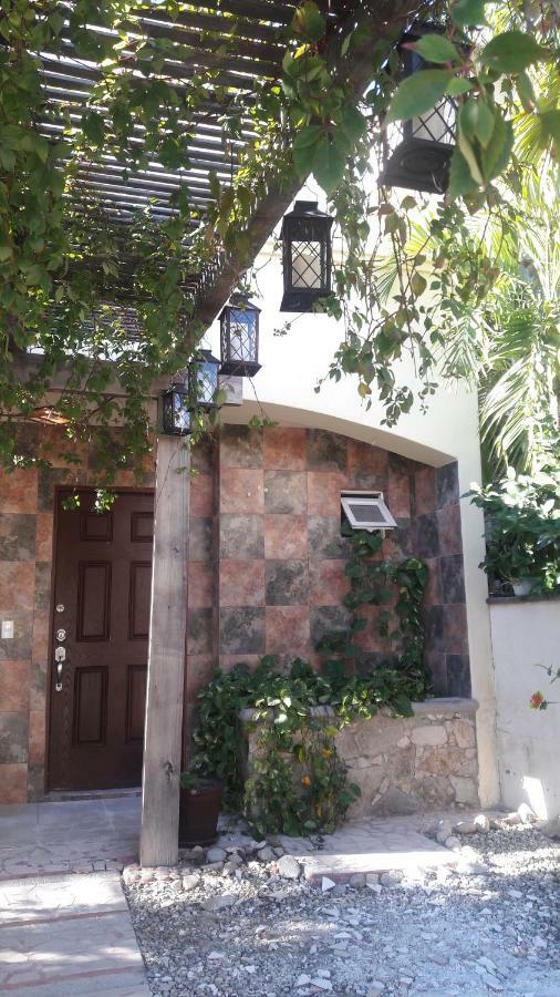 Casa Cacto En San Jose Del Cabo Villa Exterior foto